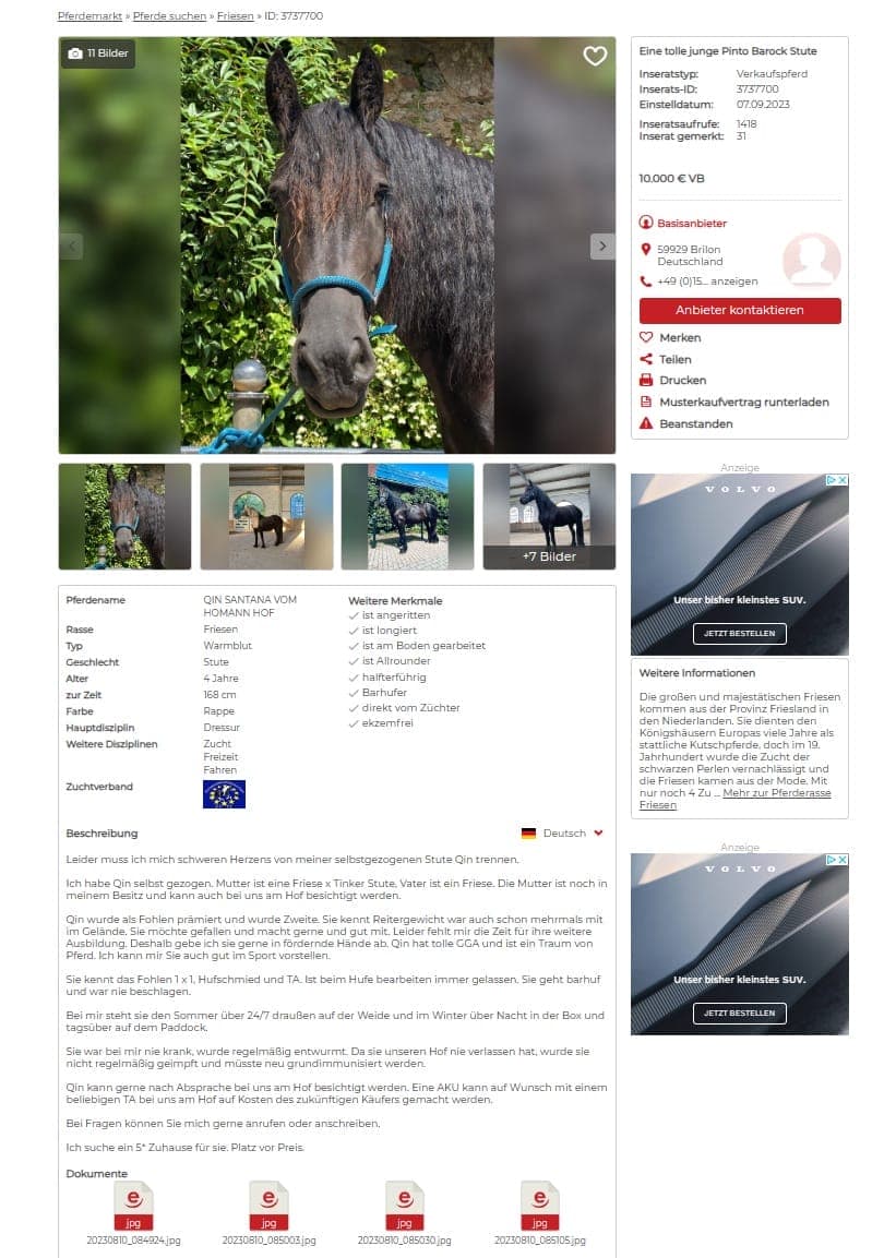 Dieses Beispiel für eine wirkungsvolle Produktbeschreibung ist ebenfalls conversionstark: ehorses” macht es genau richtig.