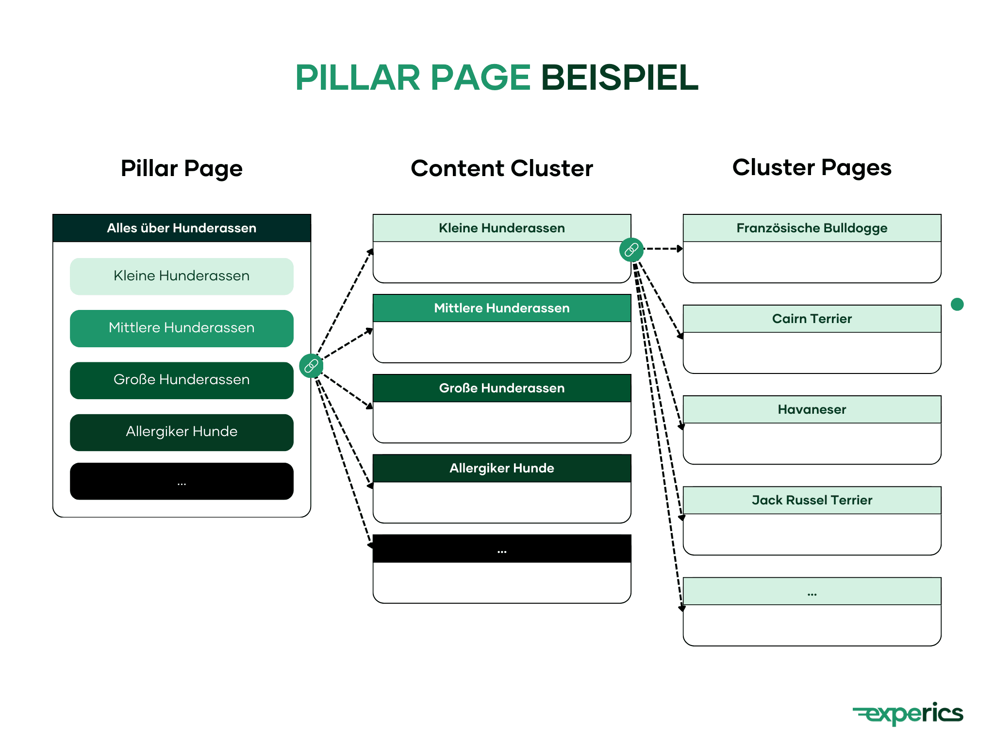 Pillar Page am Beispiel Hunderassen und edogs