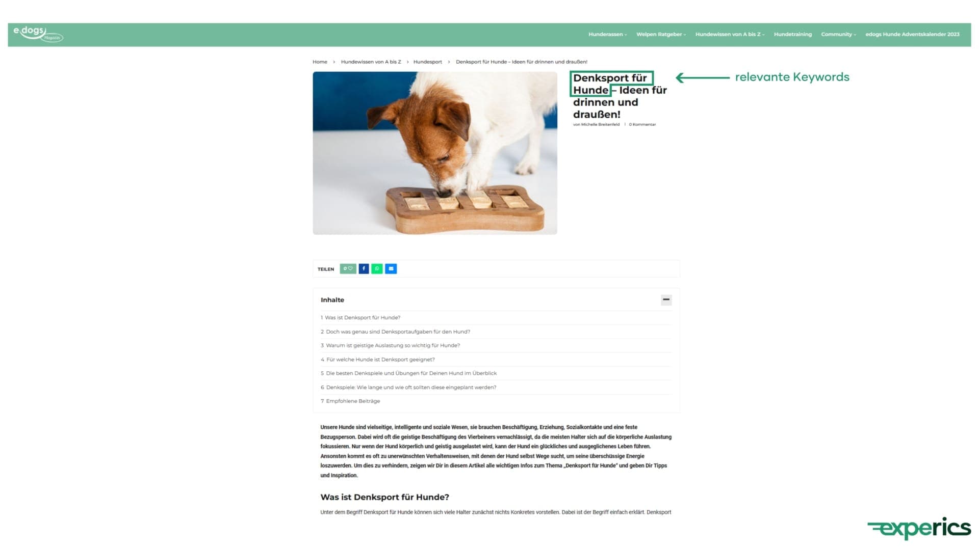 Mit der Doppelpunkt- oder Gedankenstrich-Technik lassen sich auch kreative Headlines mühelos für Suchmaschinen optimieren – „edogs“ beweist es!